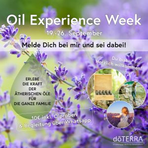 Oil Experience Werbung Chart 5